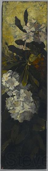 unknow artist Rhododendrons Spain oil painting art